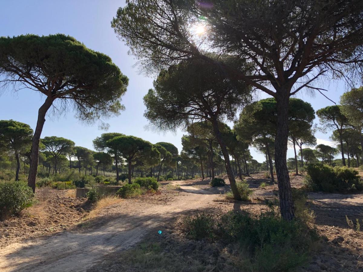 Holiday House With Private Pool, Costa De La Luz El Portil Luaran gambar